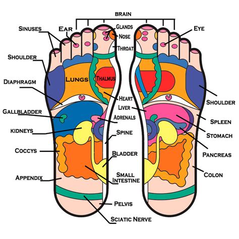 Nagic feet reflexokogy klc
